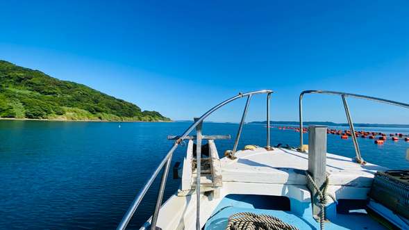 We’re searching for the best spot to catch horse mackerel!