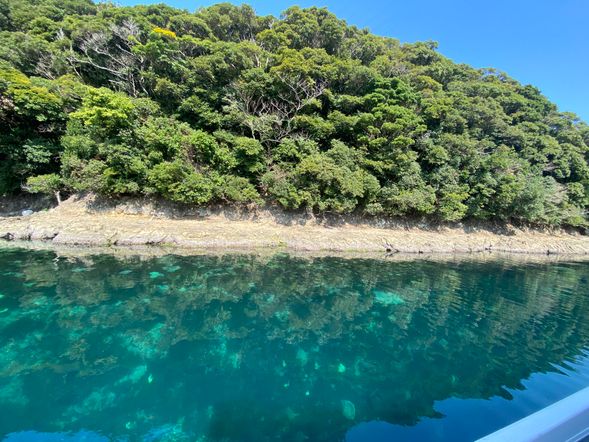 Scenic Views from the Boat!