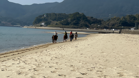 シービューランチの目の前が千里が浜ビーチ。海での乗馬を満喫!