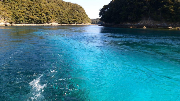 Be amazed by the rich nature and the brilliantly blue sea!