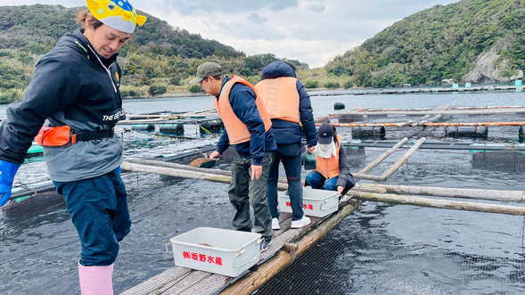 タイの餌やり体験&ブリ養殖見学!