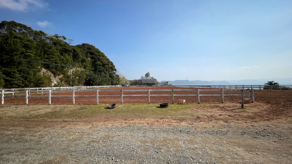 基本練習を学びます。