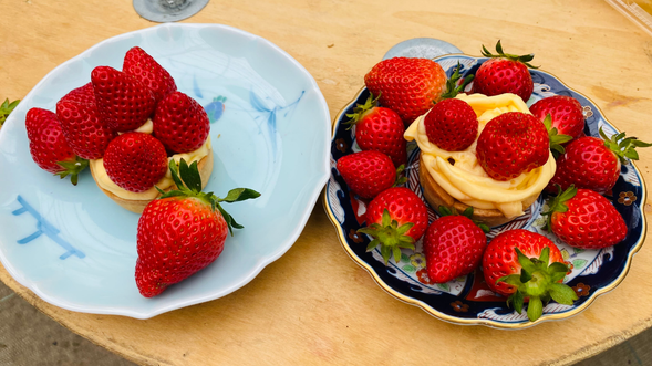 伊万里焼きのお皿はお持ち帰りできます。(1予約につき1枚)絵柄が変わります。