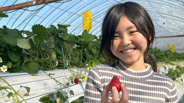 美味しい「いちご」に子供も大満足♪