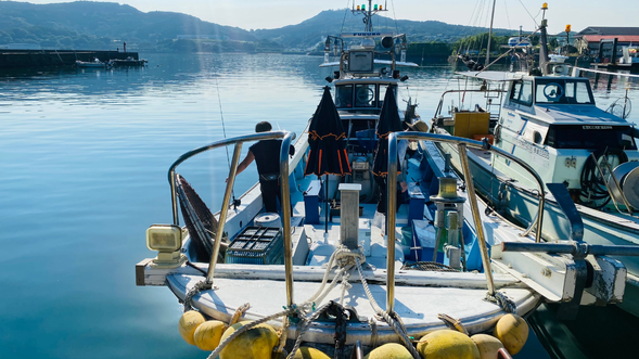 After lunch, let’s head out for Aji fishing!