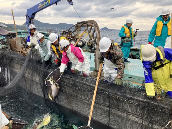 たも網で大物ゲット!
※獲れる魚は変わります。