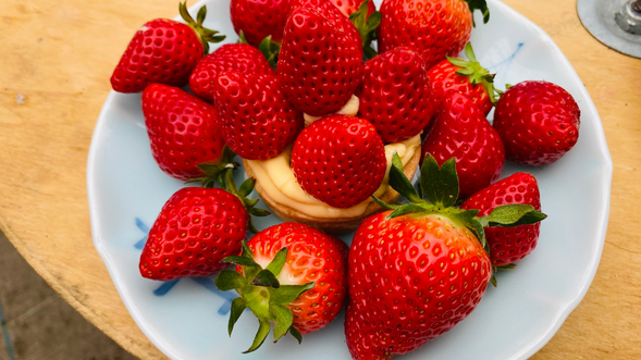 自分だけのデザート完成!いちご沢山!