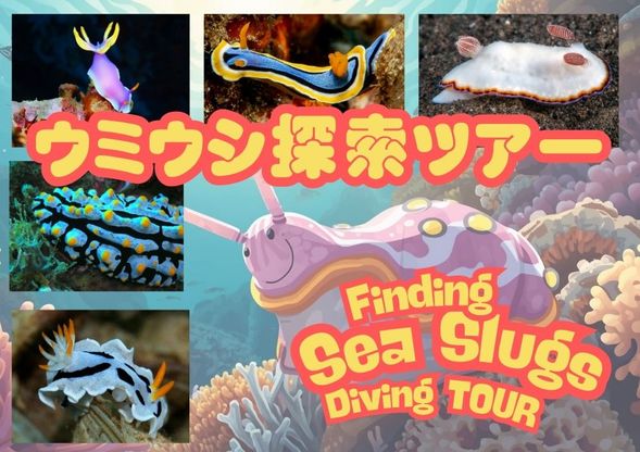 遊泳時間 約40分