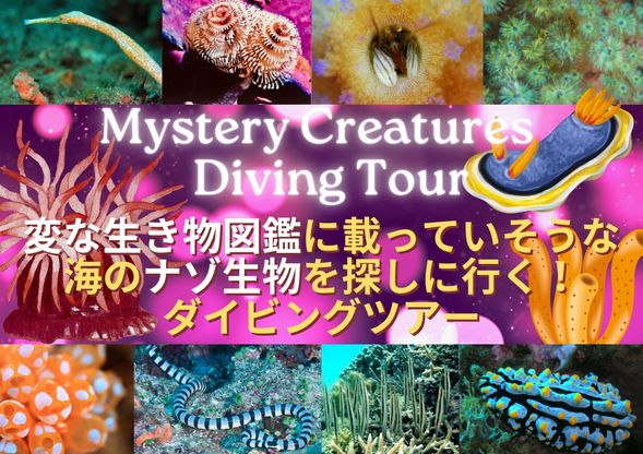 遊泳時間 約40分