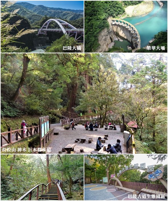大溪—09:30角板山小憩—榮華大壩—巴陵大橋—巴陵古道生態園區—上巴陵—午餐(費用自理)—紅檜巨木群步道森林浴—晚餐