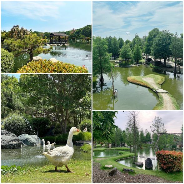 14:15-	澄霖沉香味道森林館