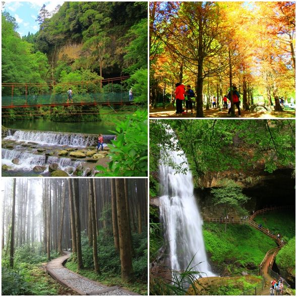 松瀧部落、松瀧岩瀑布、花卉中心、黃金水杉、落羽松…	(午餐於園區.費用自理)
