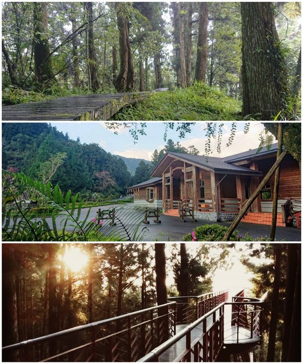 太平山國家森林遊樂區