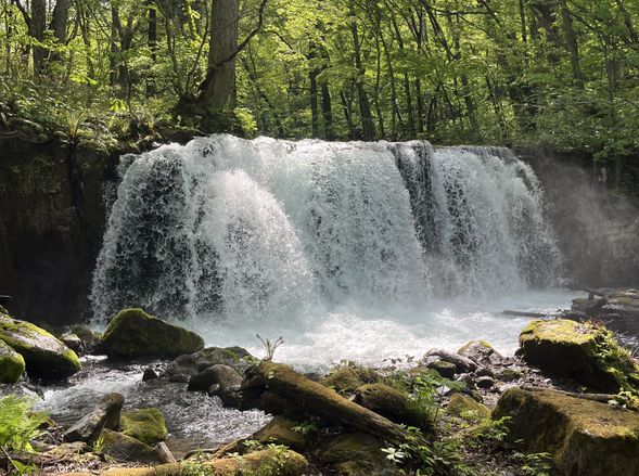 【ガイドポイント】銚子大滝