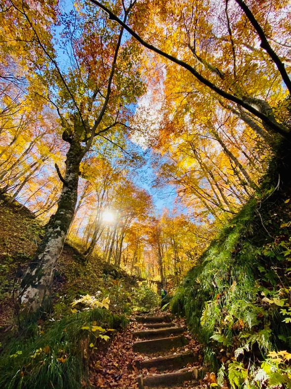 【ガイドポイント】