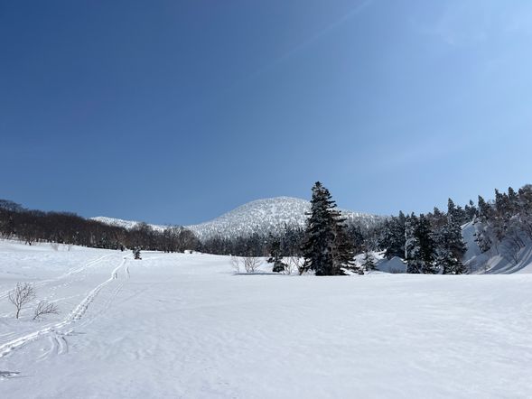 【八甲田豪雪地帯へ移動】所要時間:10分