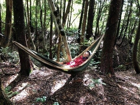 ハンモックで昼寝