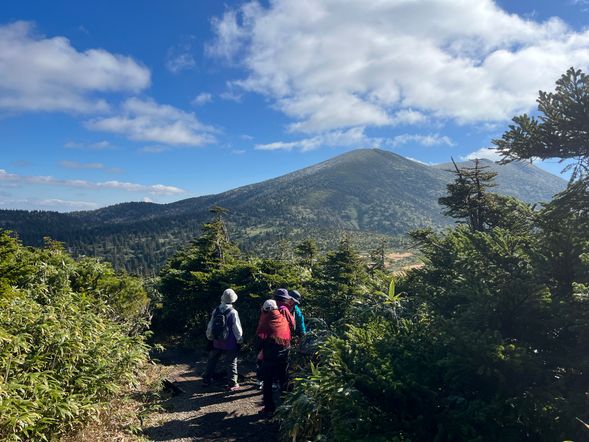 【ガイドポイント】