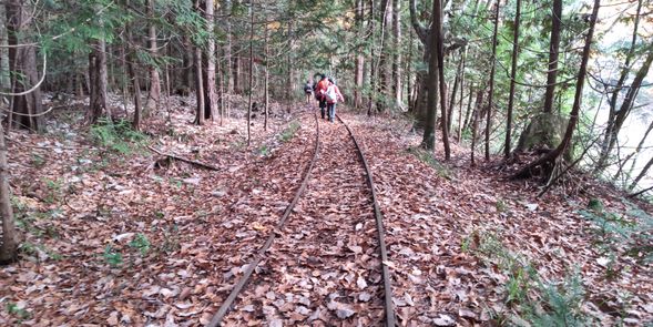 下北森林鉄道軌道跡を歩く