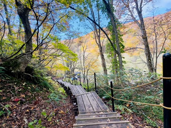 【ガイドポイント】