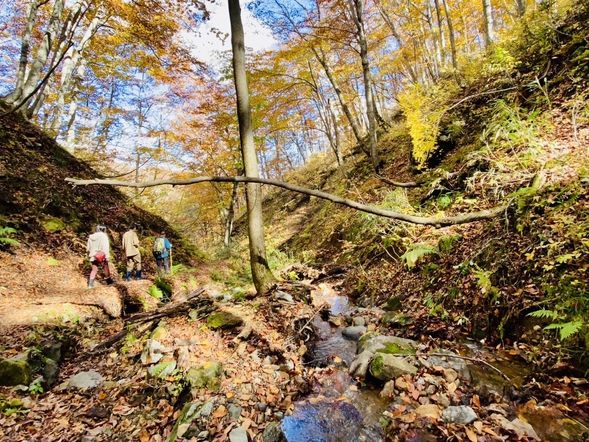 【ガイドポイント】