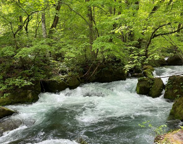 【ガイドポイント】阿修羅の流れ
