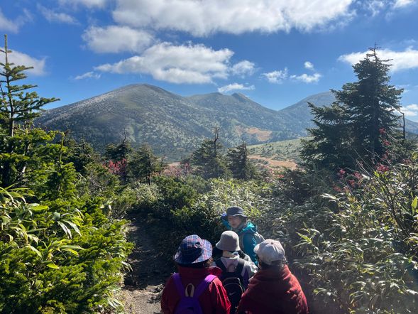 【ガイドポイント】