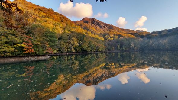 【ガイドポイント】鶏頭場の池(けとばのいけ)