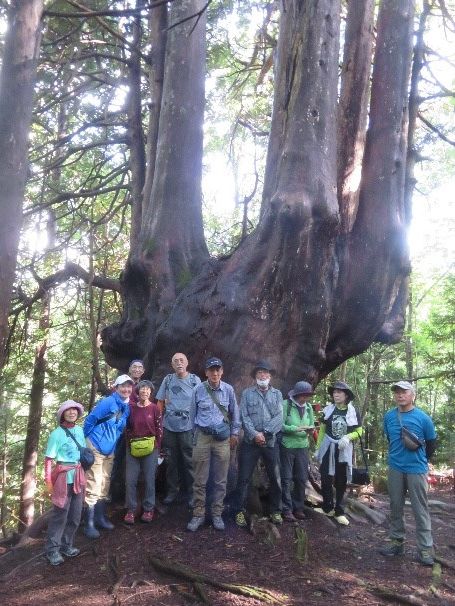 神木十二本ヤスを見る