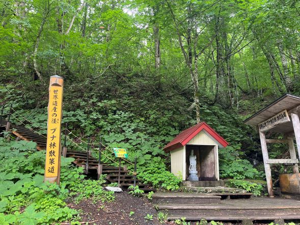 【ガイドポイント】