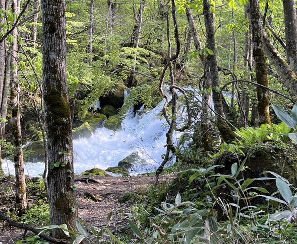 【ガイドポイント】平成の流れ