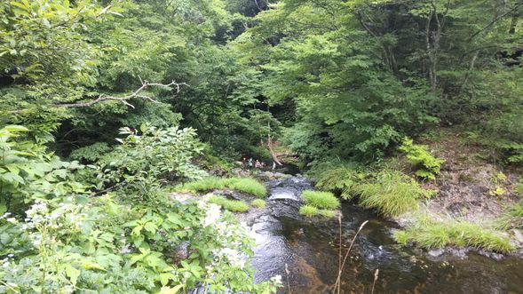 【見学】七つ滝