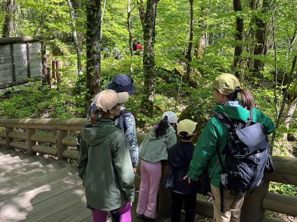 【出発】10:30 石ヶ戸休憩所