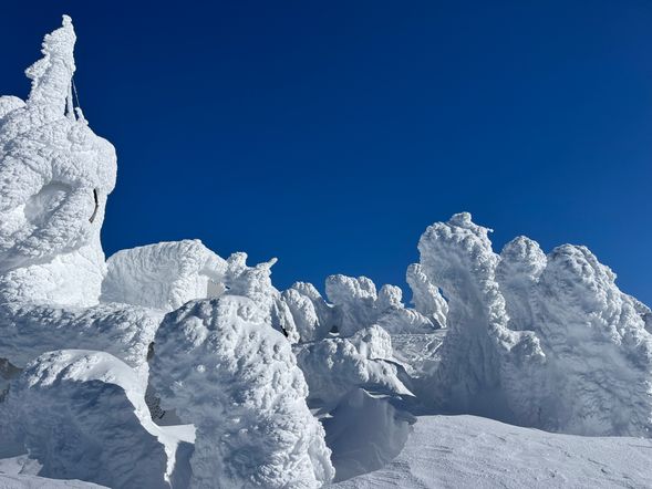【樹氷散策(Snow Monster Walk)】所要時間:60分(Duration: 60 minutes)
【RW待ち時間:30分の場合(If the Waiting Time Is 30 Minutes)】
10:30~11:30
【RW待ち時間:60分の場合(If the Waiting Time Is 60 Minutes)】
11:00~12:00
【RW待ち時間:90分の場合(If the Waiting Time Is 90 Minutes)】
11:30~12:30
【RW待ち時間:120分の場合(If the Waiting Time Is 120 Minutes)】
12:00~13:00
【RW待ち時間:150分の場合(If the Waiting Time Is 150 Minutes)】
12:30~13:30