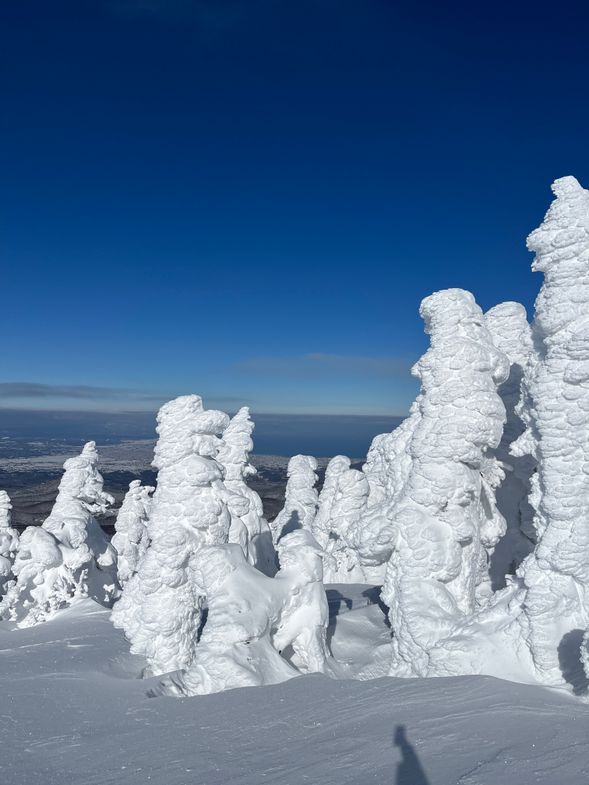 【スノーモンスター出現】