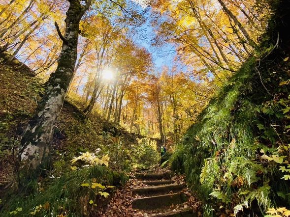 【ガイドポイント】