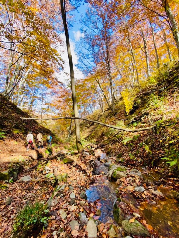 【ガイドポイント】