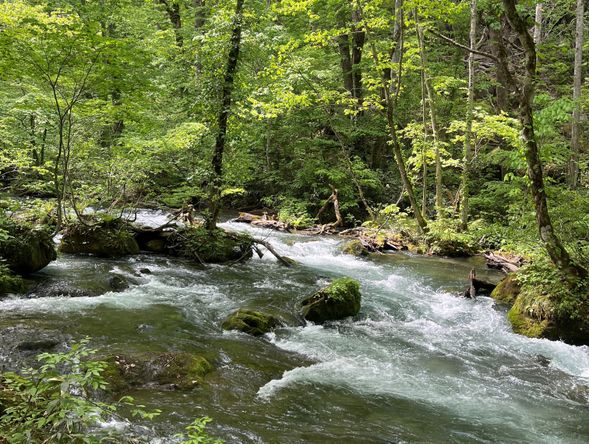 【ガイドポイント】雲井の流れ