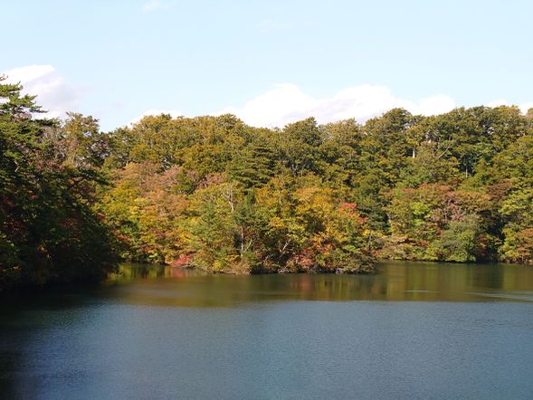 【ガイドポイント】鶏頭場の池(けとばのいけ)