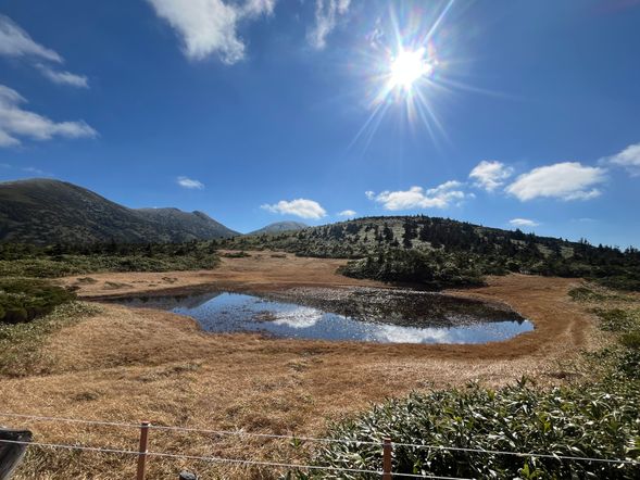 【ガイドポイント】