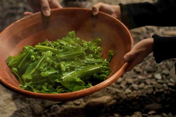 Half-day Itinerary|Agri-Food Experience