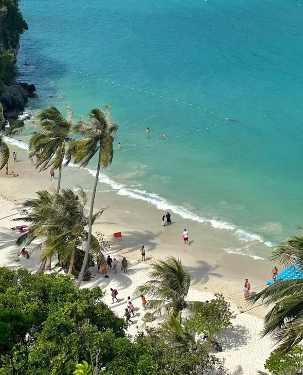 抵達蘇梅島,接送回飯店