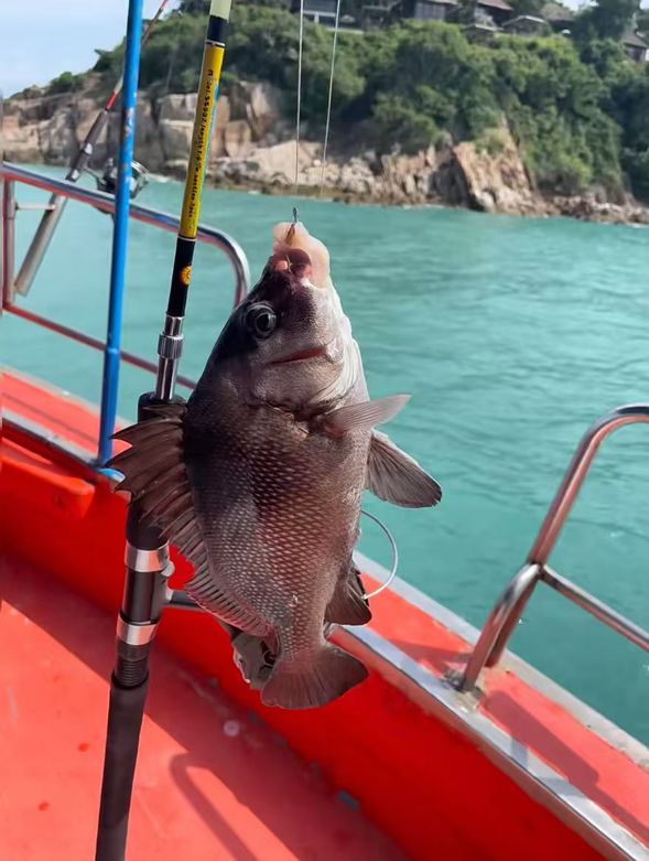 釣魚大賽 (船家提供釣竿、魚線、誘餌)