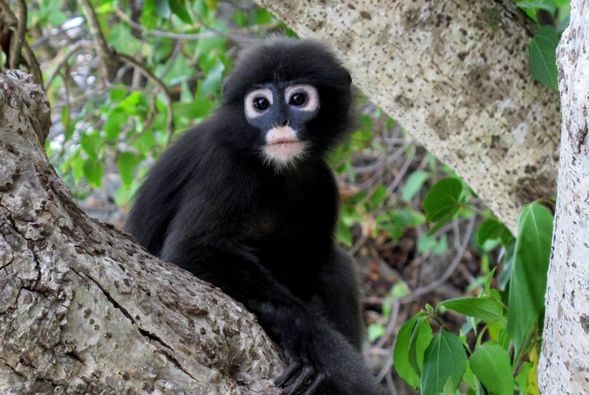 搭乘快艇返回蘇梅島