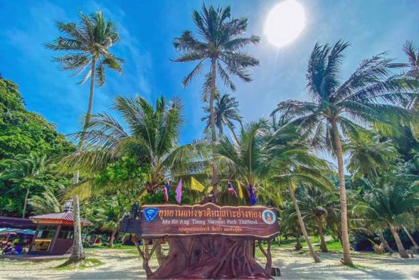 0730 - 0830 飯店碼頭接送Checkin,享用小點