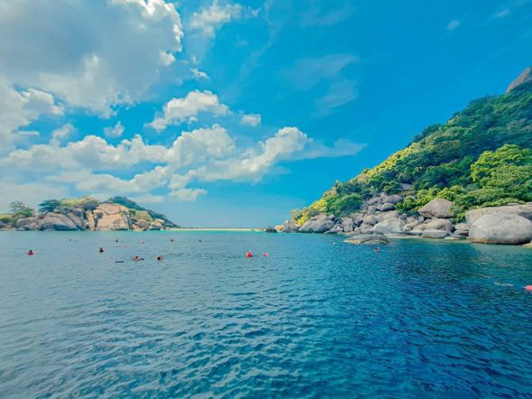 0730 - 0830 飯店碼頭接送Checkin,享用小點