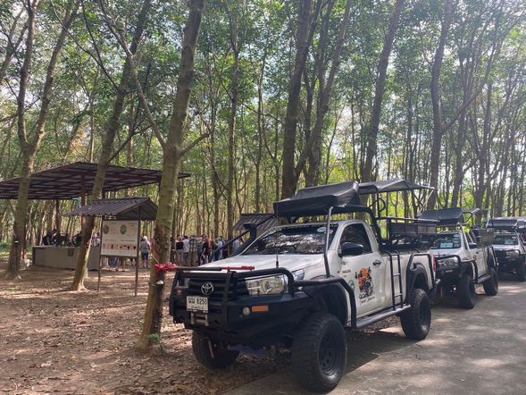 叢林路線360°探險