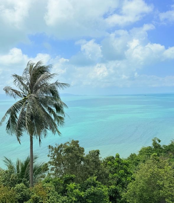 回程
15:30P 抵達蘇梅島,接送回飯店