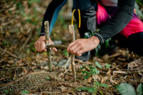 動動手吧!你做的陷阱是會大豐收還是會不堪一擊被山羌取笑?