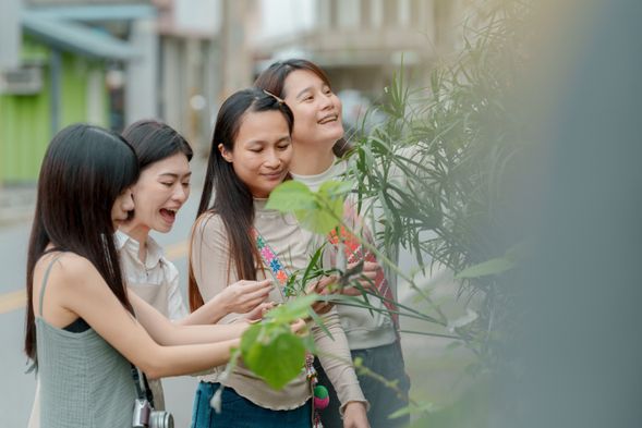 編織的從無到有從種植開始!種植所需的植物,采收之後經過繁瑣的處理才能變成編織的素材,中間到底有多少學問絕對讓人驚歎!